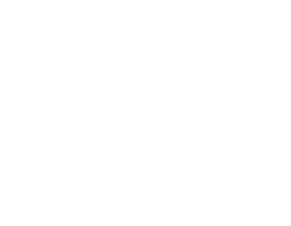 junginger bestattungen logo